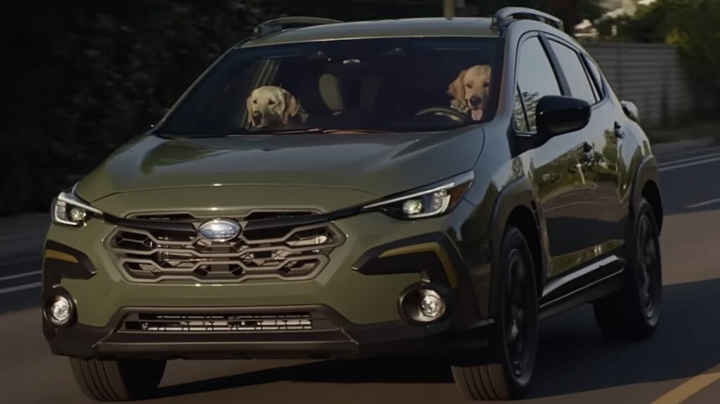Subaru's Dog Commercials Are More Than Just Cute