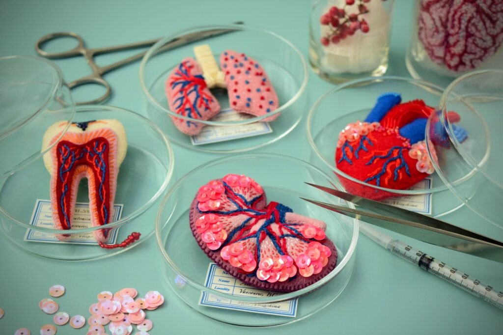 Anatomy and Ancient Sea Creatures Converge in Hiné Mizushima’s Felt Sculptures