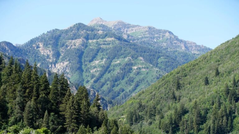 Patagonia and other outdoor brands bet on nonpartisan support for public lands. It worked