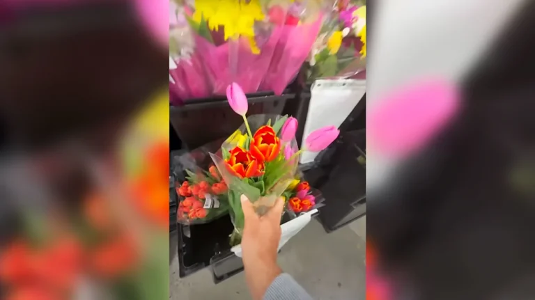 ‘Customer satisfaction at the end of the day’: TikTok users push Costco’s return policy to the limit with wild refunds