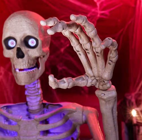 The Home Depot Halloween 2025 Collection Is Officially Here & Skelly Is Back