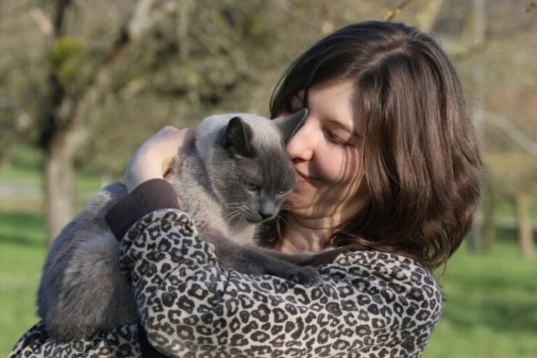 21 Fun Things to Do With Your Cat (Indoors & Outdoors)