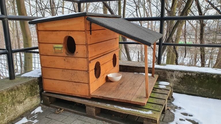9 DIY Outdoor Cat House Plans You Can Make Today (With Pictures)