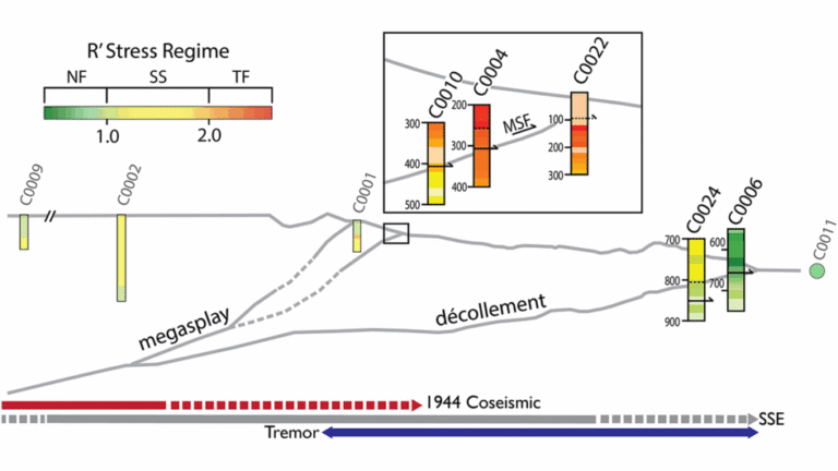 The State of Stress in the Nankai Subduction Zone