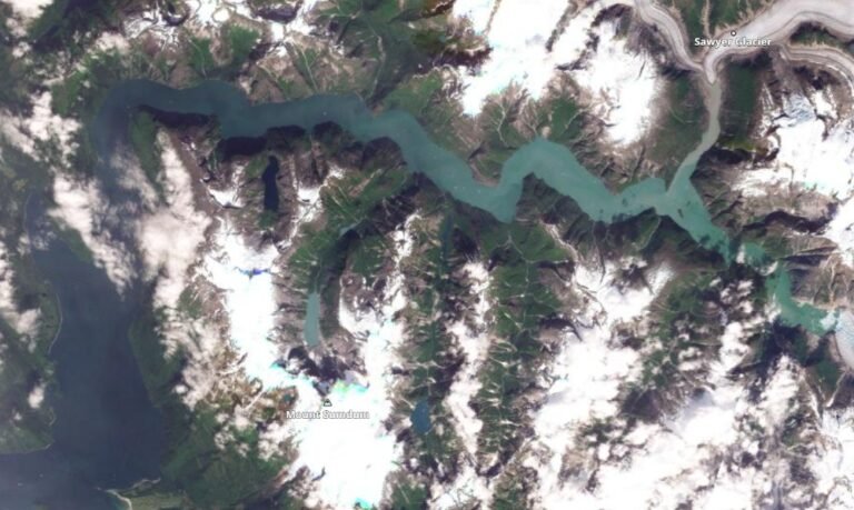 A likely large, tsunamigenic landslide in Tracy Arm inlet, Alaska on 10 August 2025