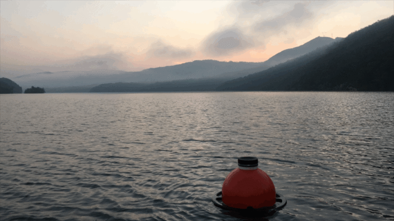 Advances in Ecological Forecasting