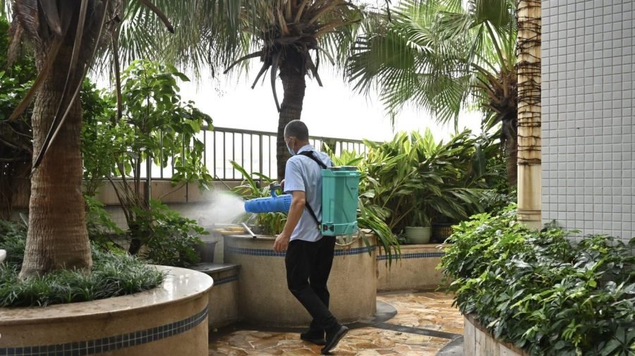 Chikungunya virus in China: What to know