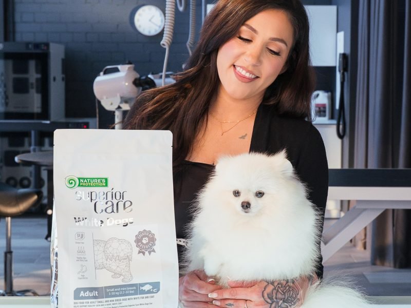 Tear Stain Support for Dogs: What Nature’s Protection Superior Care Offers