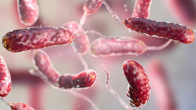 Flesh-eating bacteria: Expert tips for avoiding an infection this summer