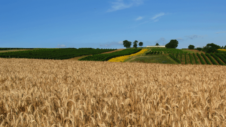 Balancing Comparability and Specificity in Sustainability Indicators