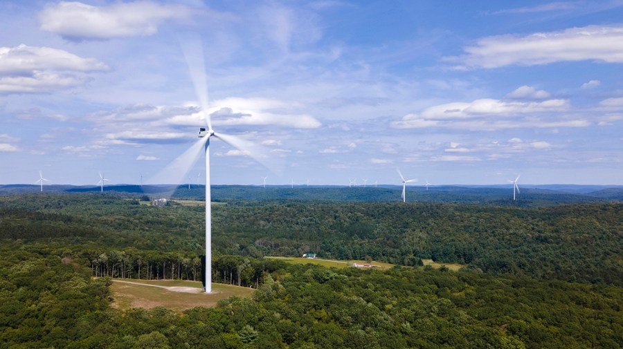 Trump targets another wind project