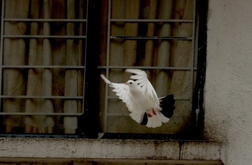 Blasphemy Against the Holy Spirit – Mark 3:28-30