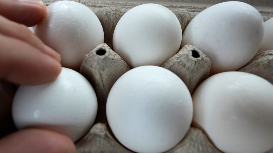 At least 95 sickened, most in California, in Salmonella outbreak linked to recalled eggs