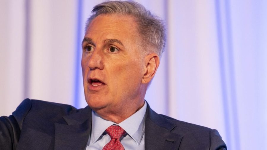 McCarthy: The only Democrats resonating, raising funds 'are the socialists'