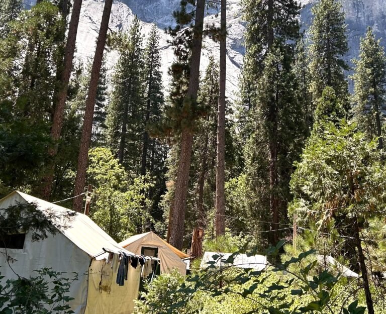Yosemite feels the burn of an understaffed summer