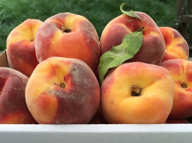 Summer Peaches…Pure Bliss