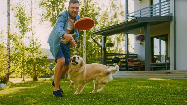 13 Outdoor Games for Dogs to Play This Summer