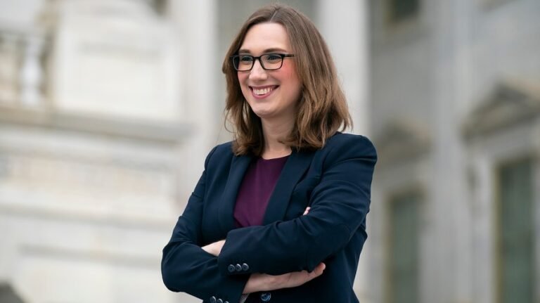 McBride: 'Voters feel like Democrats have sort of been a‑‑holes to them'