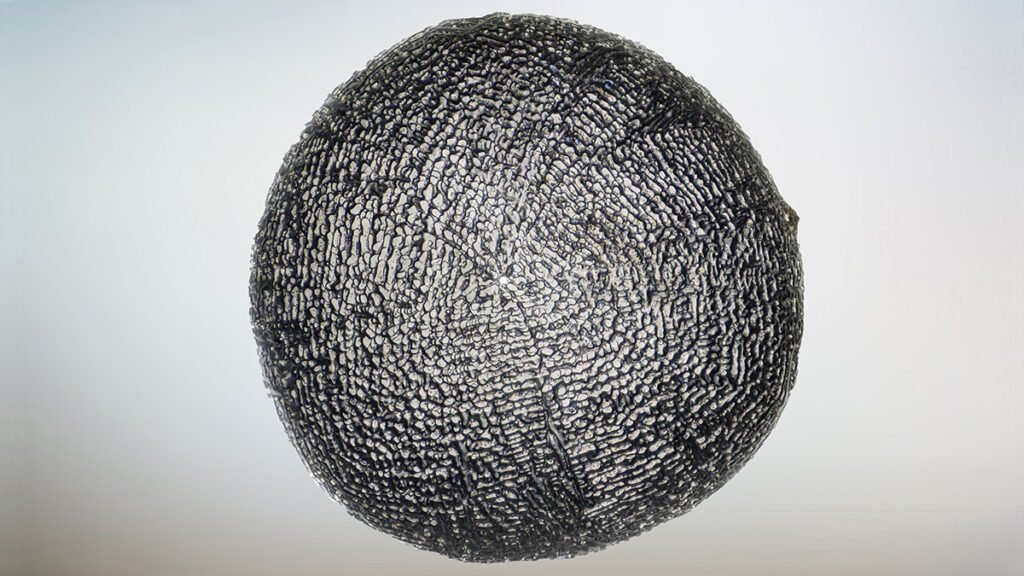 Fossilized Micrometeorites Record Ancient CO2 Levels