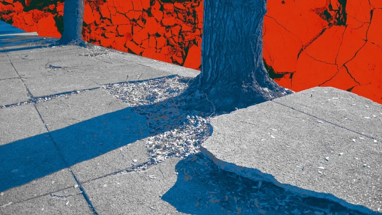 Cities clearly have a sidewalk problem. It’s less clear who should fix it