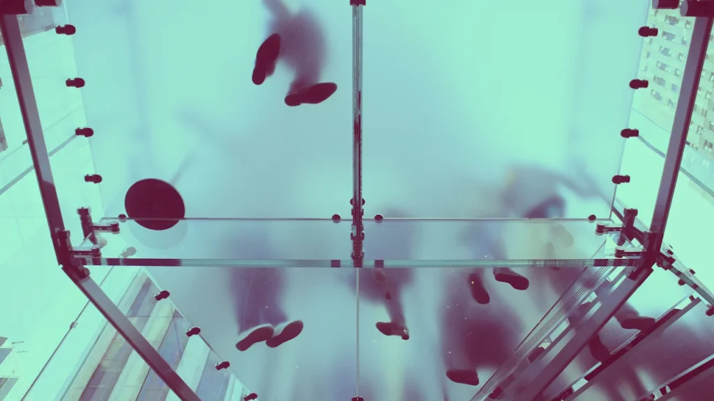 5 secrets for breaking through the entry-level job ‘glass floor’