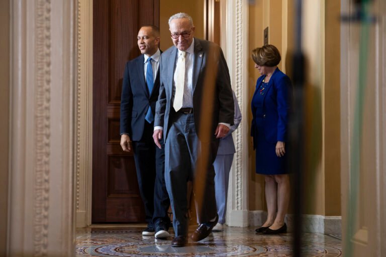 Trump-Schumer standoff heads for fall rematch