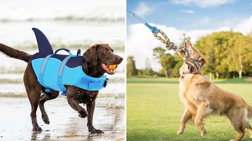 55 Weird Things For Dogs That Have Near-Perfect Amazon Reviews & Are So Damn Cheap