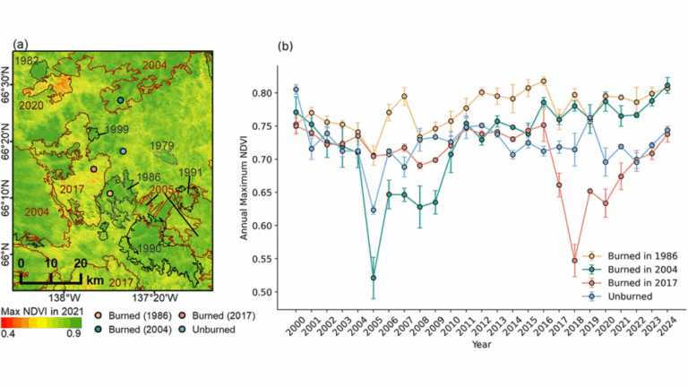 Radar Surveys Reveal Permafrost Recovery After Wildfires