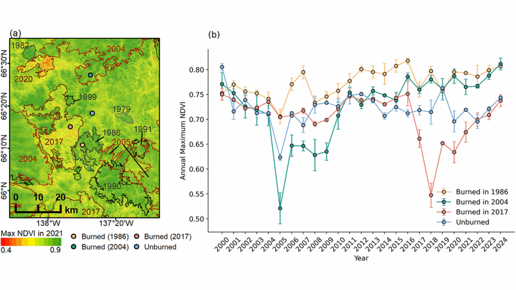 Radar Surveys Reveal Permafrost Recovery After Wildfires
