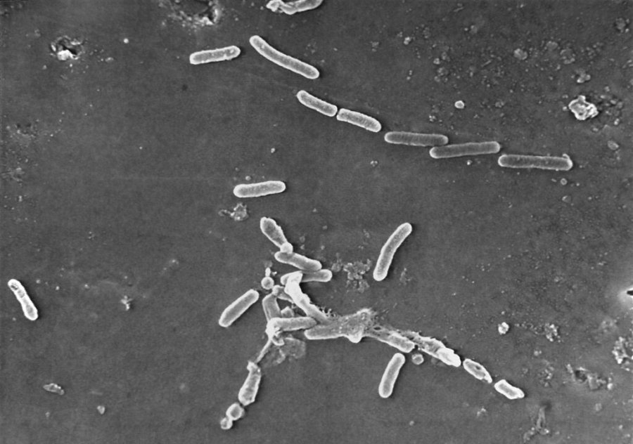We need more open science in biotech — here's how we achieve it
