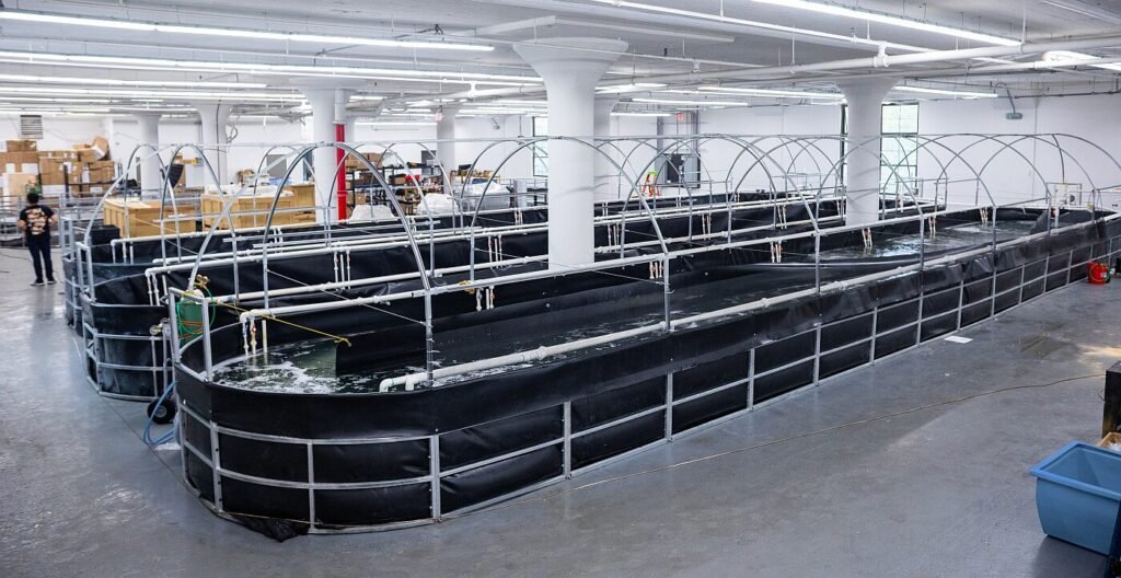 Atarraya’s flat-packed high-tech shrimp farms roll out in New Jersey as tariffs upend trade