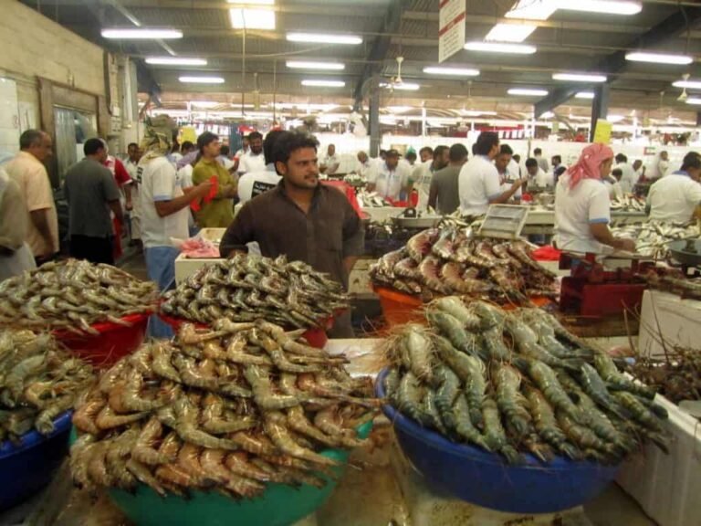 Flavours of the Emirates: A Gastronomic Journey Through Dubai and Beyond