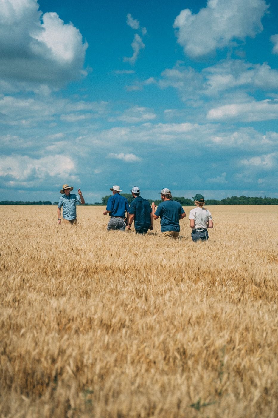 Mad Capital closes $78m oversubscribed fund to bridge the gap between Wall St. and regen ag