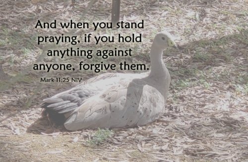 If You Hold Anything Against Anyone – Mark 11:25