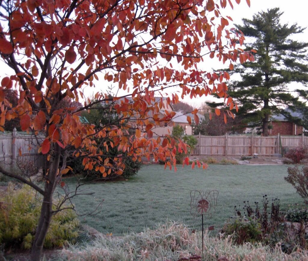 What you do when the first frost of fall arrives tells us a lot about how you garden