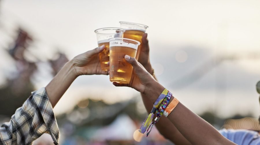 Mosquitoes especially attracted to beer drinkers, study shows