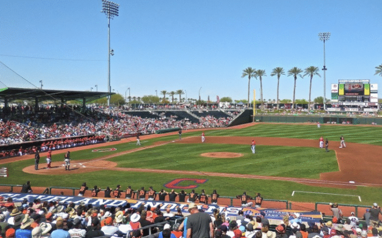 Goodyear Seeking Developers to Add to Ballpark Experience