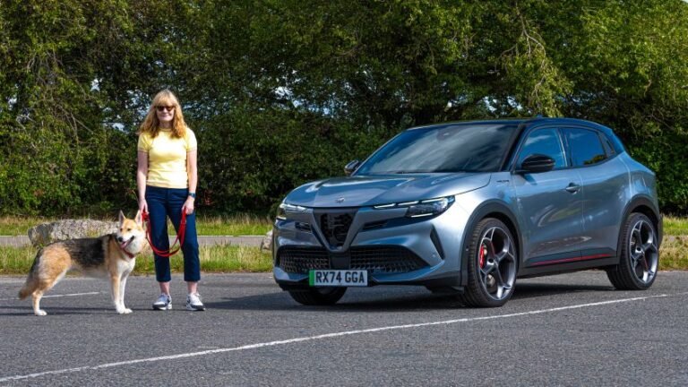 Alfa Romeo Junior Elettrica Veloce: long-term test