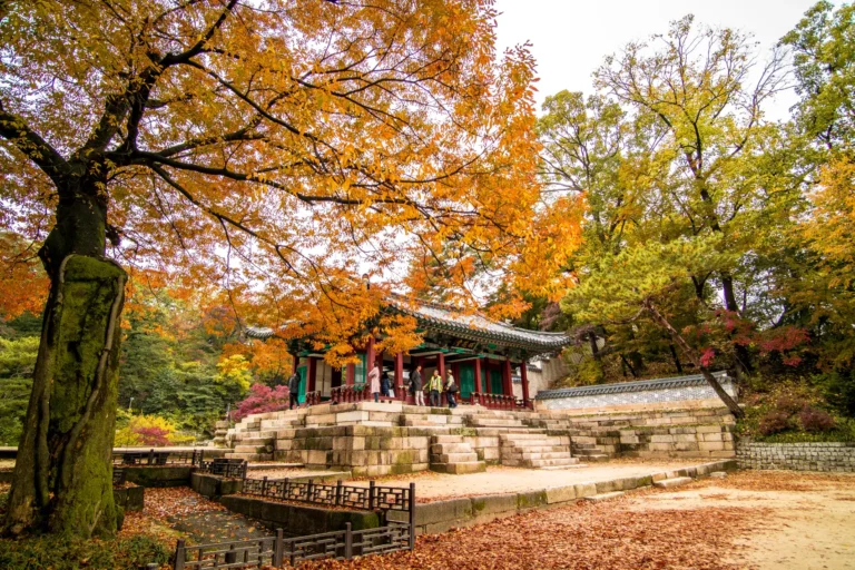 Cherry blossoms to snowy scenes: when to visit south Korea