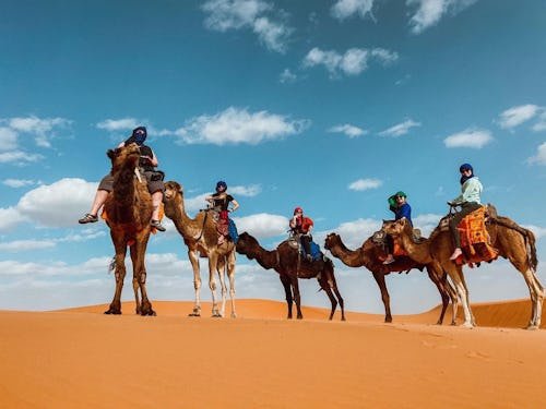 Scary Mommy 2025 Readers’ Choice Best Women’s Travel Club