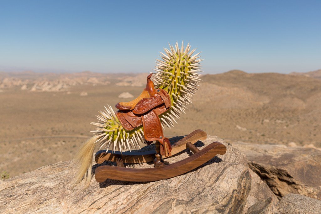 15 Art Shows to See in Los Angeles This Fall