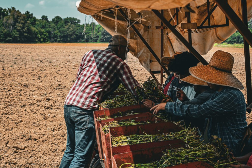 Eater Wins Silver Medal From the Society of American Travel Writers