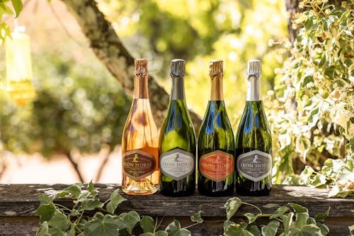 Scary Mommy 2025 Readers’ Choice Best Wine/Subscription Box