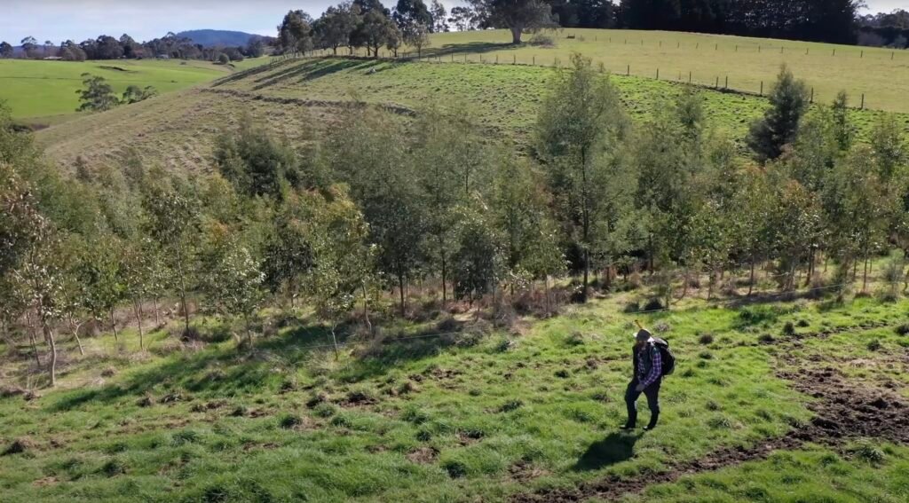 Beau Miles’ Marathon, Single-Day Planting Project Sprouts a New Forest in an Australian Field