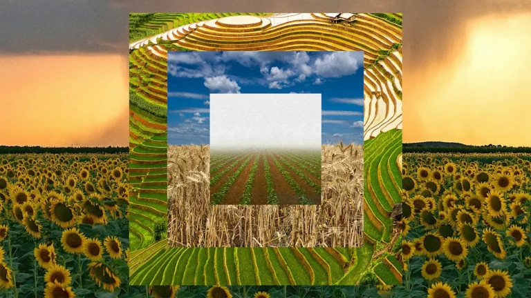 AI weather forecasting has reached a turning point that could prove valuable for farmers