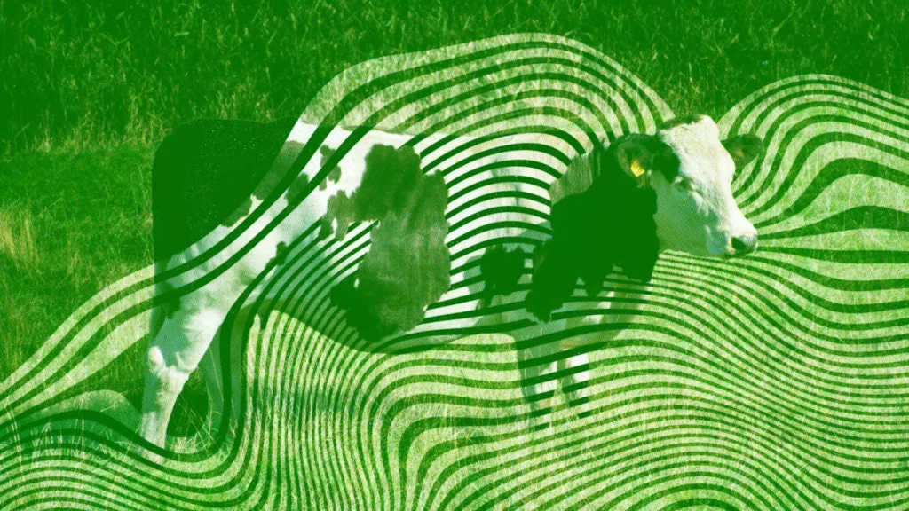 Painted cows and pasta sauce physics: A look at this year’s Ig Nobel Prize winners