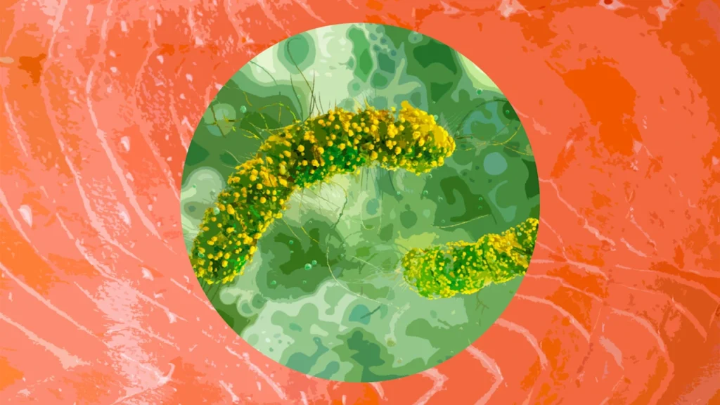 Fish recalled nationwide over Listeria fears, including smoked salmon and sea bass: Full list of products to avoid