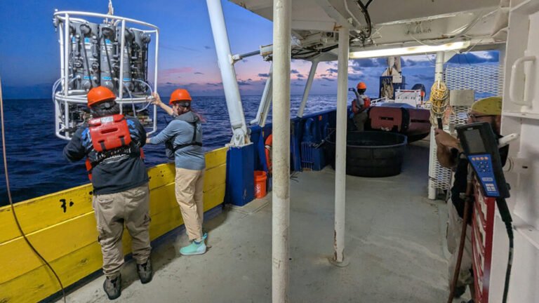 Cruise to Measure Gulf Dead Zone Faces Stormy Funding Future