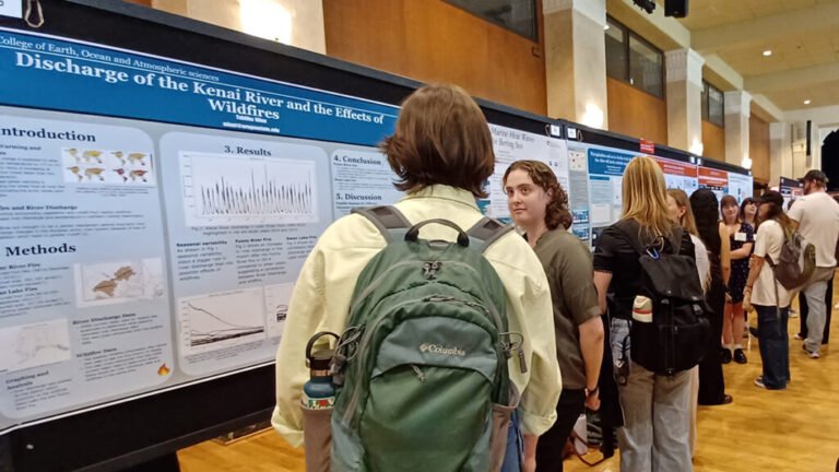An Accessible Alternative for Undergraduate Research Experiences