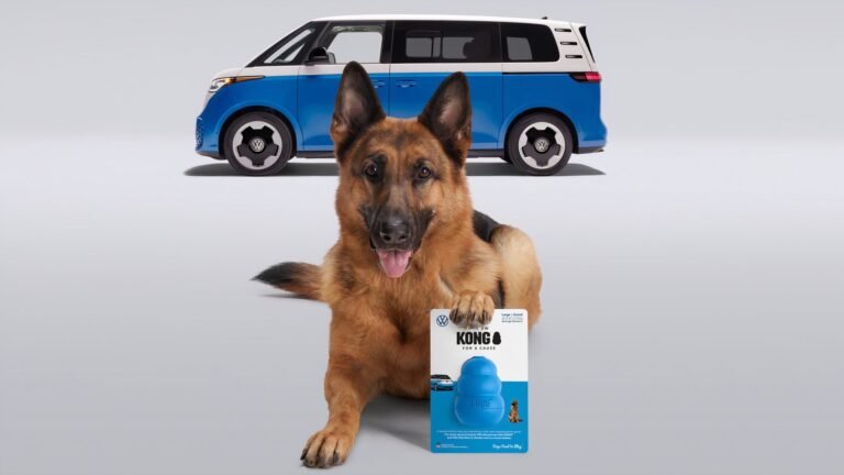 Here's How A Part From An Old VW Bus Became A Popular Dog Toy